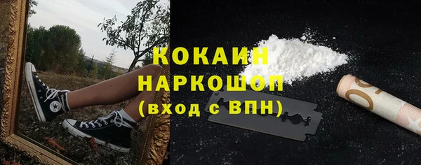 ешки Арсеньев