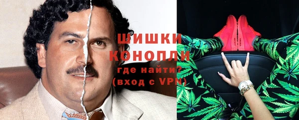 ешки Арсеньев